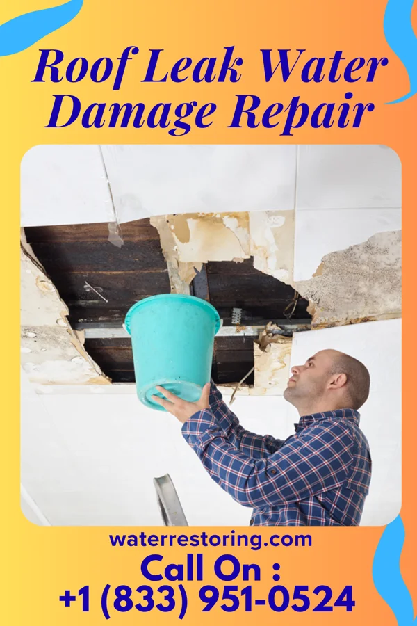 Roof Leak Water Damage Repair in Mequon, WI