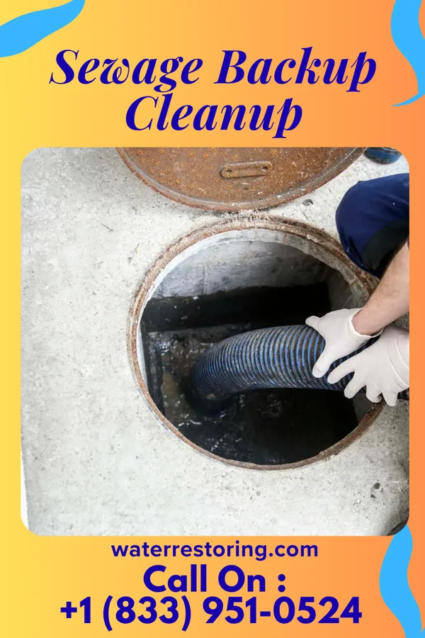 Sewage Backup Cleanup in Mequon, WI